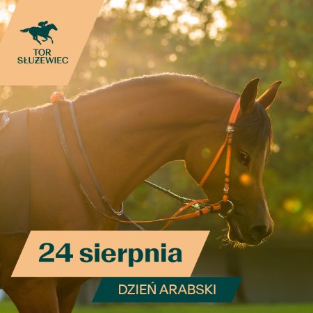 Dzień Arabski - Wyścigi konne na Torze Służewiec 2025 - sport