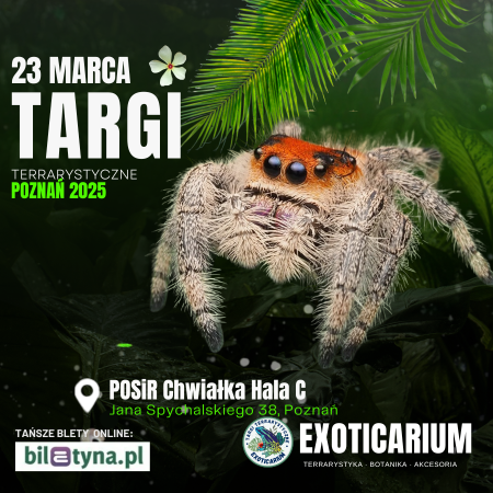 EXOTICARIUM Targi Terrarystyczne Poznań - targi