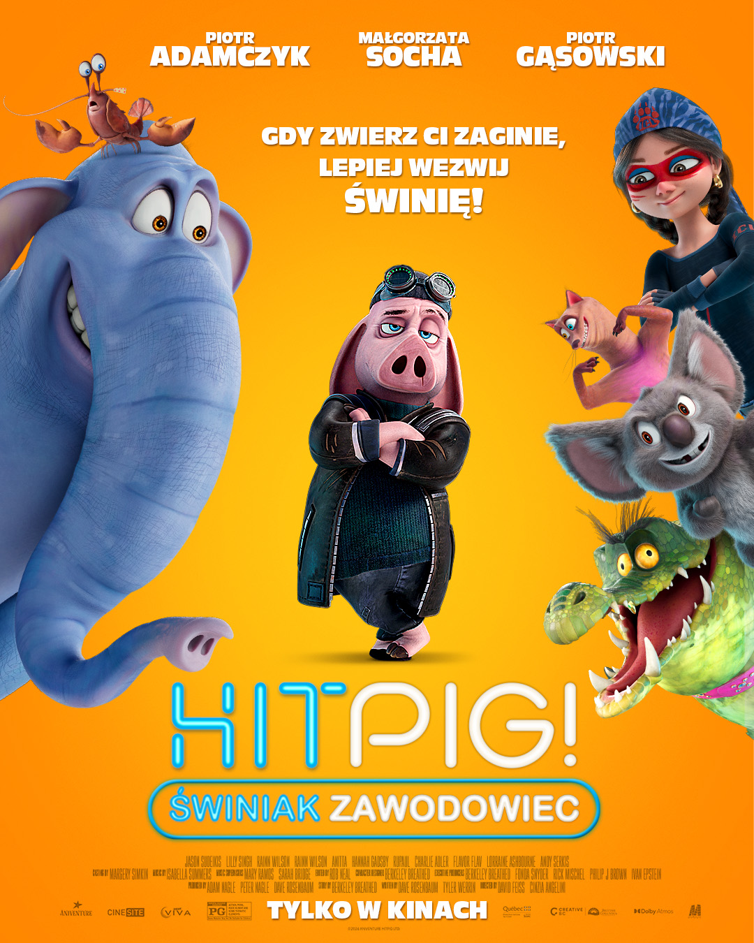 Hitpig. Świniak zawodowiec Nowy Dwór Mazowiecki