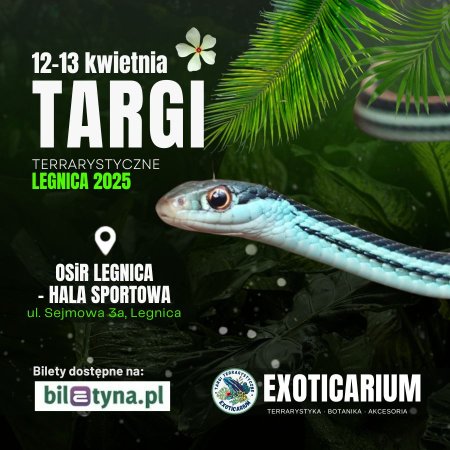 EXOTICARIUM Targi Terrarystyczne Legnica - targi dwudniowe 12-13 kwietnia - targi