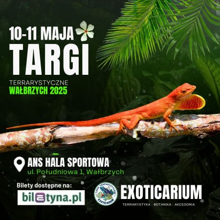 EXOTICARIUM Targi Terrarystyczne Wałbrzych - targi dwudniowe 10-11 maj - targi
