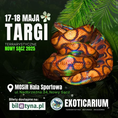 EXOTICARIUM Targi Terrarystyczne Nowy Sącz - targi dwudniowe 17-18 maj - targi