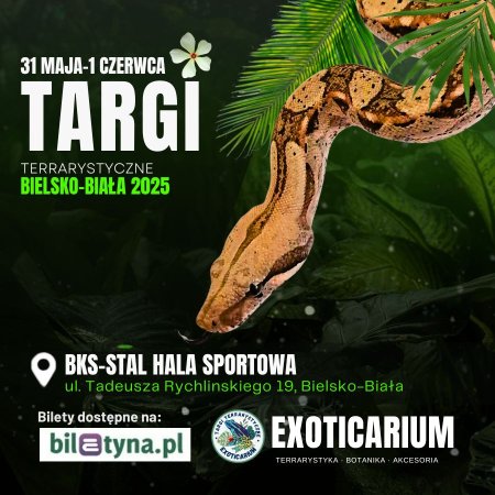 EXOTICARIUM Targi Terrarystyczne Bielsko-Biała dwudniowe 31 maja-1 czerwca - targi