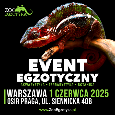 ZooEgzotyka Warszawa - targi