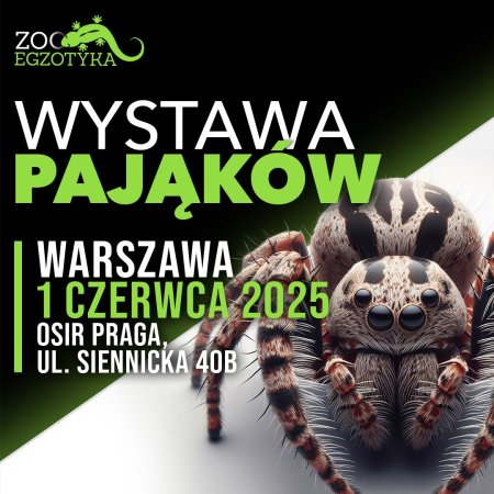 Wystawa pająków - Warszawa - targi
