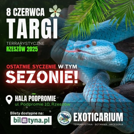 EXOTICARIUM Targi Terrarystyczne - Rzeszów - targi