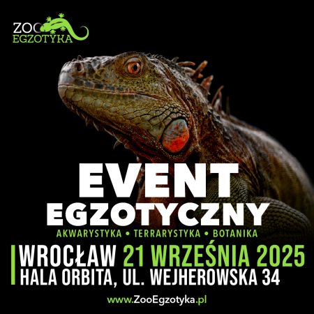 ZooEgzotyka Wrocław - targi