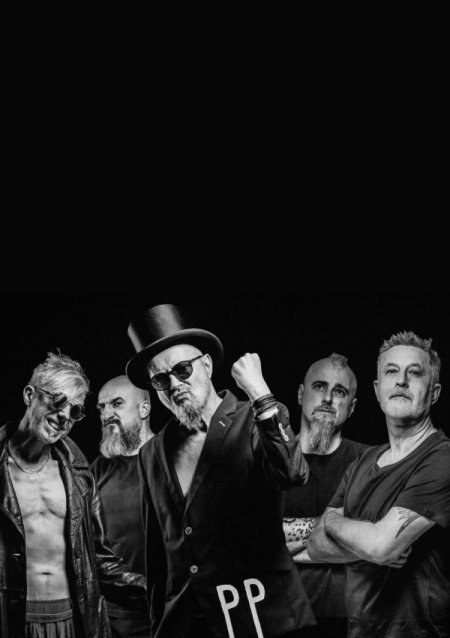 Pidżama Porno - koncert