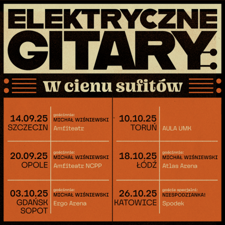 Elektryczne Gitary - W cieniu sufitów - koncert
