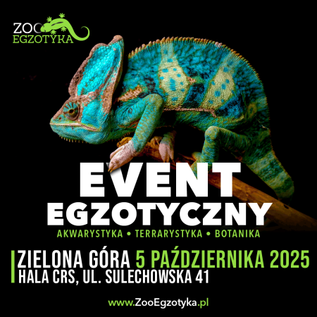 ZooEgzotyka - Zielona Góra - targi