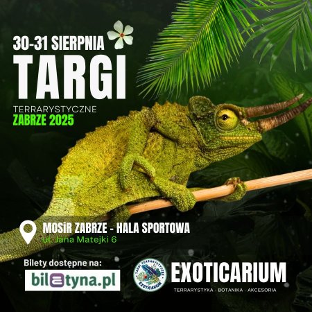 EXOTICARIUM Targi Terrarystyczne Zabrze dwudniowe 30-31 sierpnia - targi