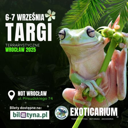 EXOTICARIUM Targi Terrarystyczne Wrocław dwudniowe 6-7 września - targi