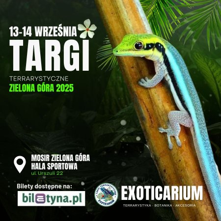 EXOTICARIUM Targi Terrarystyczne Zielona Góra dwudniowe 13-14 września - targi