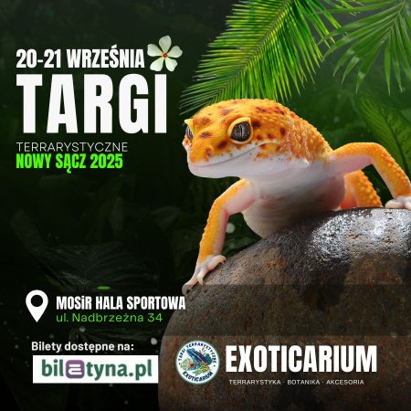 EXOTICARIUM Targi Terrarystyczne Nowy Sącz dwudniowe 20-21 września - targi