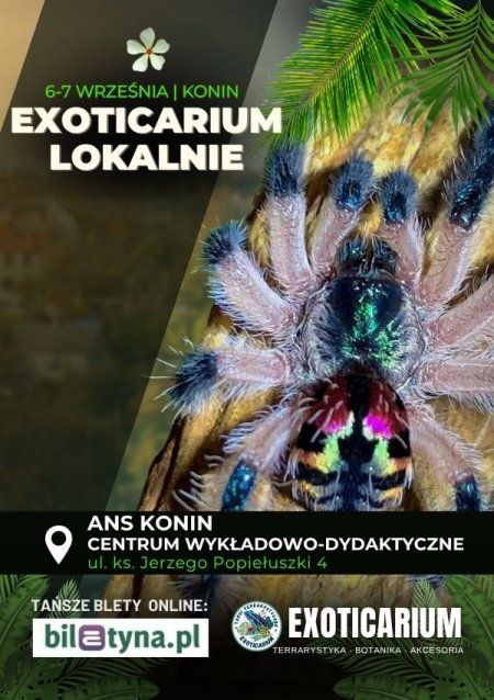 EXOTICARIUM LOKALNIE Targi Terrarystyczne Konin dwudniowe 6-7 września - targi