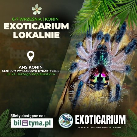 EXOTICARIUM LOKALNIE Targi Terrarystyczne Konin dwudniowe 6-7 września - targi