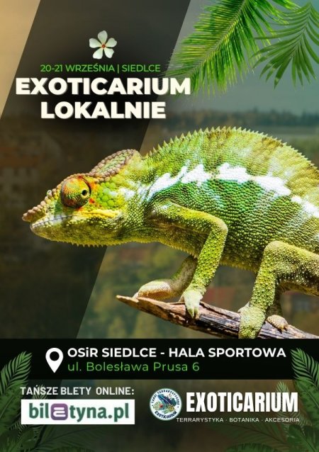 EXOTICARIUM LOKALNIE Targi Terrarystyczne Siedlce dwudniowe 20-21 września - targi