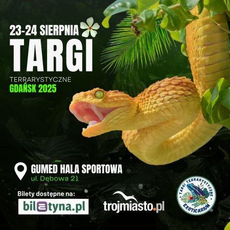 EXOTICARIUM Targi Terrarystyczne Gdańsk - dwudniowe 23-24 sierpnia - targi