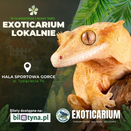 EXOTICARIUM LOKALNIE Targi Terrarystyczne Nowy Targ dwudniowe 13-14 września - targi