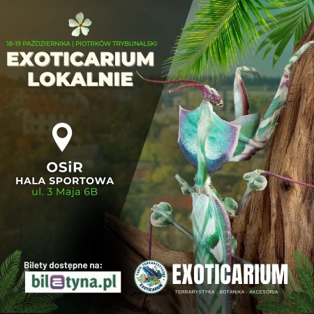 EXOTICARIUM LOKALNIE Targi Terrarystyczne Piotrków Trybunalski dwudniowe 18-19 października - targi