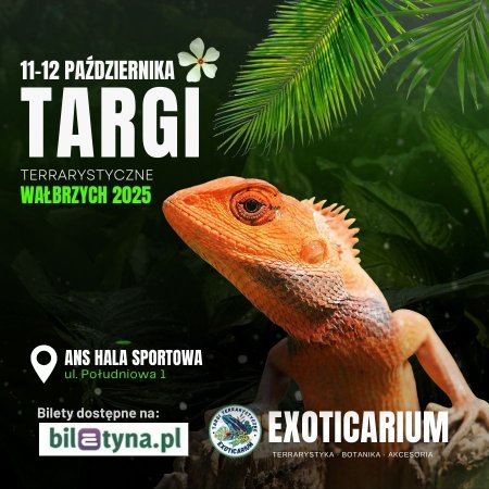 EXOTICARIUM Targi Terrarystyczne Wałbrzych dwudniowe 11-12 października - targi