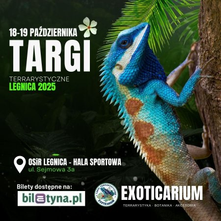 EXOTICARIUM Targi Terrarystyczne Legnica dwudniowe 18-19 października - targi