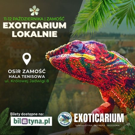 EXOTICARIUM LOKALNIE Targi Terrarystyczne Zamość dwudniowe 11-12 października - targi