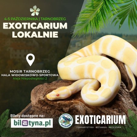 EXOTICARIUM LOKALNIE Targi Terrarystyczne Tarnobrzeg dwudniowe 4-5 października - targi