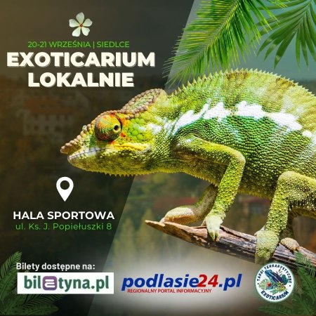 EXOTICARIUM LOKALNIE Targi Terrarystyczne Siedlce dwudniowe 20-21 września - targi