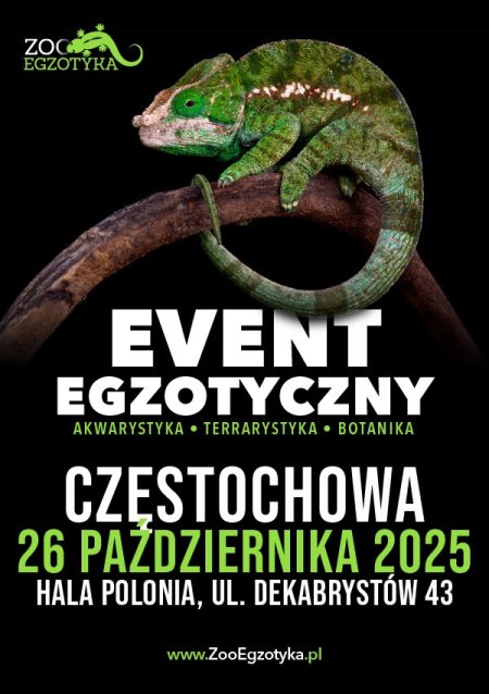 ZooEgzotyka - Częstochowa - targi