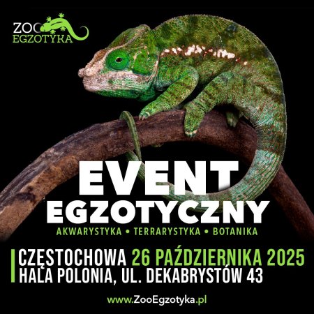 ZooEgzotyka - Częstochowa - targi