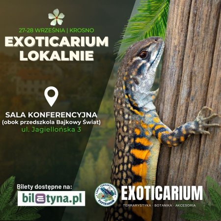 EXOTICARIUM LOKALNIE Targi Terrarystyczne Krosno dwudniowe 27-28 września - targi