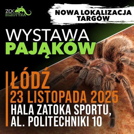 Wystawa pająków - Łódź - targi