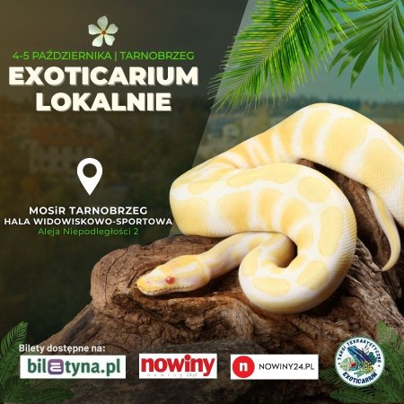 EXOTICARIUM LOKALNIE Targi Terrarystyczne Tarnobrzeg dwudniowe 4-5 października - targi