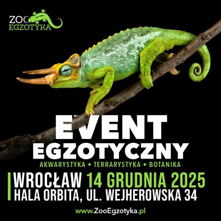 ZooEgzotyka Wrocław - targi