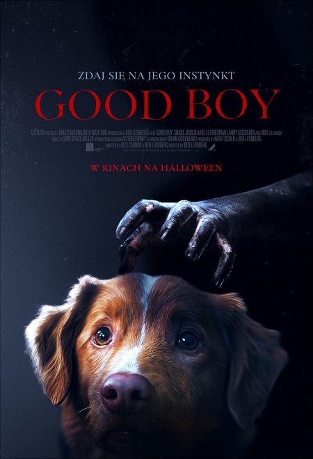 GOOD BOY - film