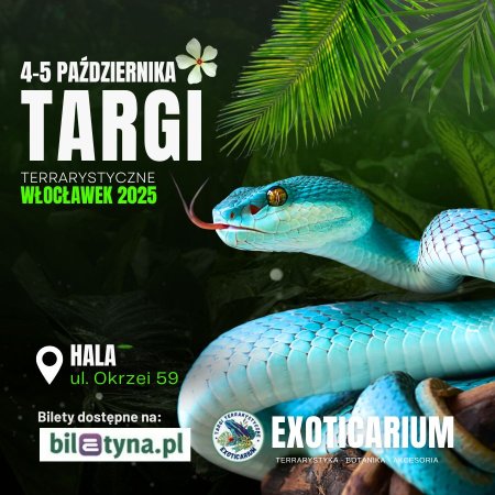 EXOTICARIUM Targi Terrarystyczne Włocławek dwudniowe 4-5 października - targi