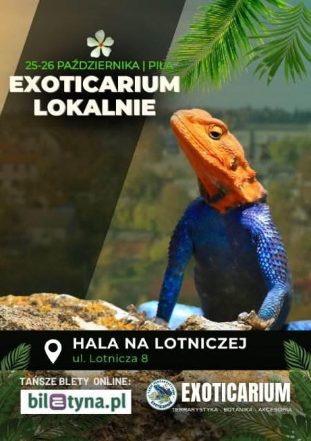 EXOTICARIUM LOKALNIE Targi Terrarystyczne Piła dwudniowe 25-26 października - targi