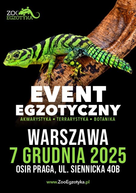 ZooEgzotyka Warszawa - targi