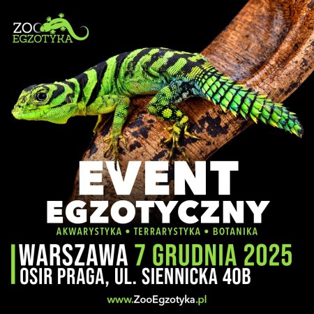 ZooEgzotyka Warszawa - targi