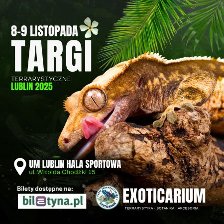 EXOTICARIUM Targi Terrarystyczne Lublin dwudniowe 8-9 listopada - targi
