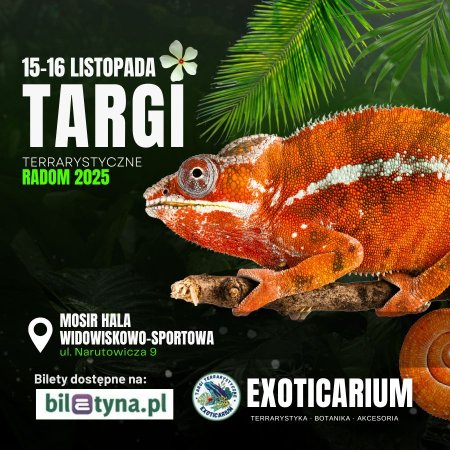 EXOTICARIUM Targi Terrarystyczne Radom - targi dwudniowe 15-16 listopada - targi