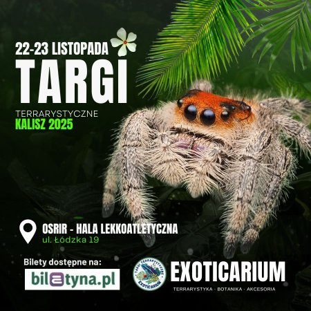 EXOTICARIUM Targi Terrarystyczne Kalisz dwudniowe 22-23 listopada - targi