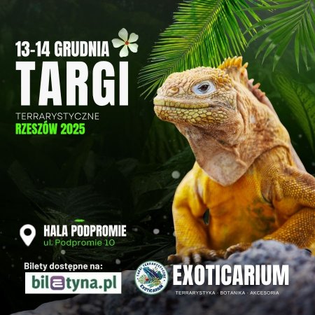 EXOTICARIUM Targi Terrarystyczne Rzeszów dwudniowe 13-14 grudnia - targi