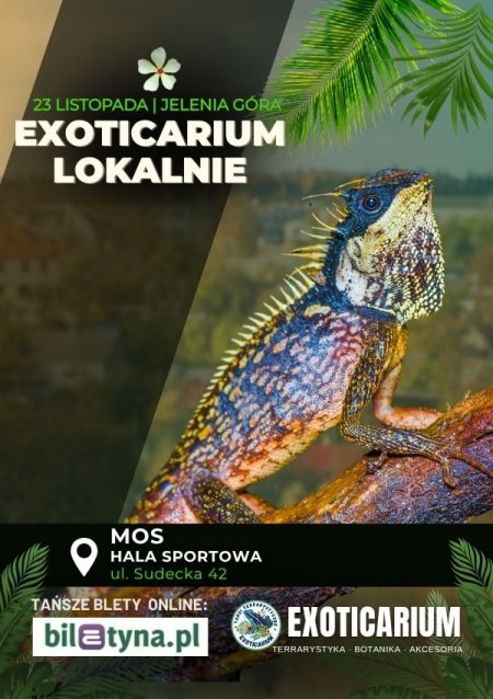 EXOTICARIUM LOKALNIE Targi Terrarystyczne Jelenia Góra - targi