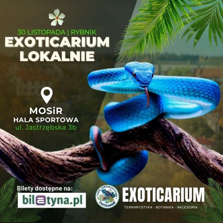 EXOTICARIUM LOKALNIE Targi Terrarystyczne Rybnik - targi