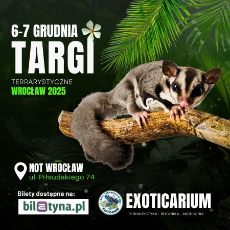 EXOTICARIUM Targi Terrarystyczne Wrocław dwudniowe 6-7 grudnia - targi