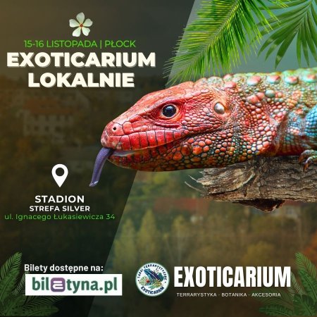 EXOTICARIUM LOKALNIE Targi Terrarystyczne Płock dwudniowe 15-16 listopada - targi
