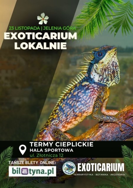 EXOTICARIUM LOKALNIE Targi Terrarystyczne Jelenia Góra - targi