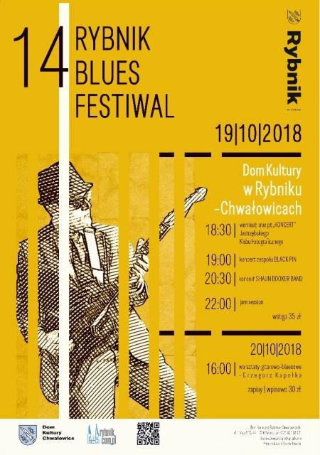 14. Rybnik Blues Festiwal - koncert